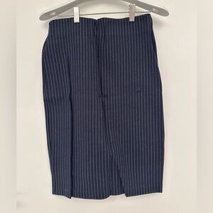 Zara Dark Navy Striped Skirt